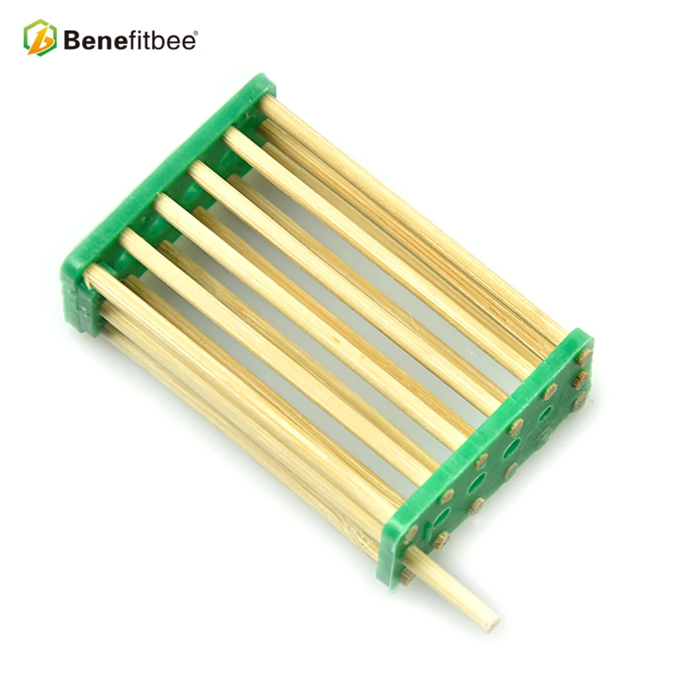 Benefitbee Bee Queen Cages 10PCS Wooden Beekeeping Equipment Bamboo