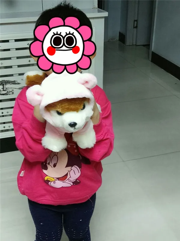 Cute Pomeranian Dog Plush Toys 4 sizes - Buyers Show 8