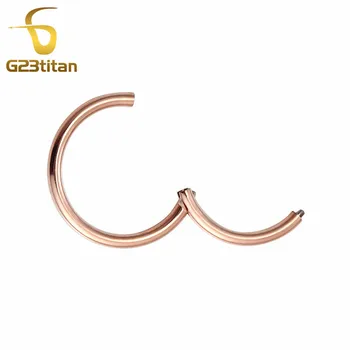 G23titan 14G 1.6mm Openable Segment Hinged Rings for Septum Nose Ear Nipple Lip Piercing Common Body Jewelry