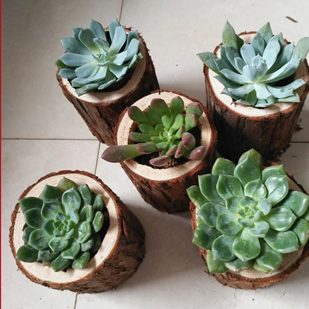 Natural Tree Stump Wooden Candle Holder Tea Light for Romantic Candlelight Dinner Bonsai Plants Flowerpot Container Decor