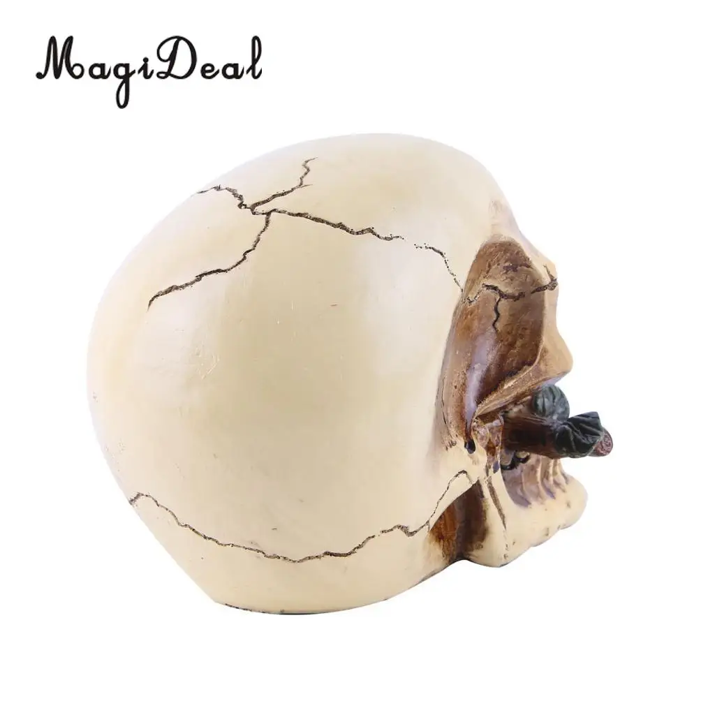 Collectable Resin Human Skull Skeleton Head for Desktop Shelf Display Decoration, 10 Styles