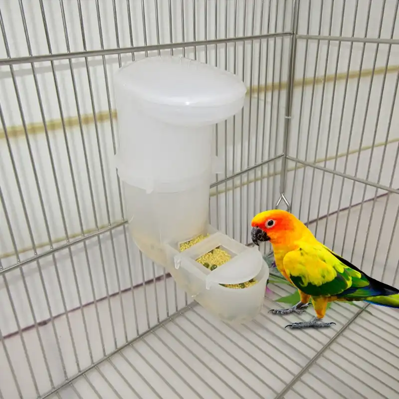 auto bird feeder
