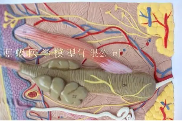 QQ20180918212103