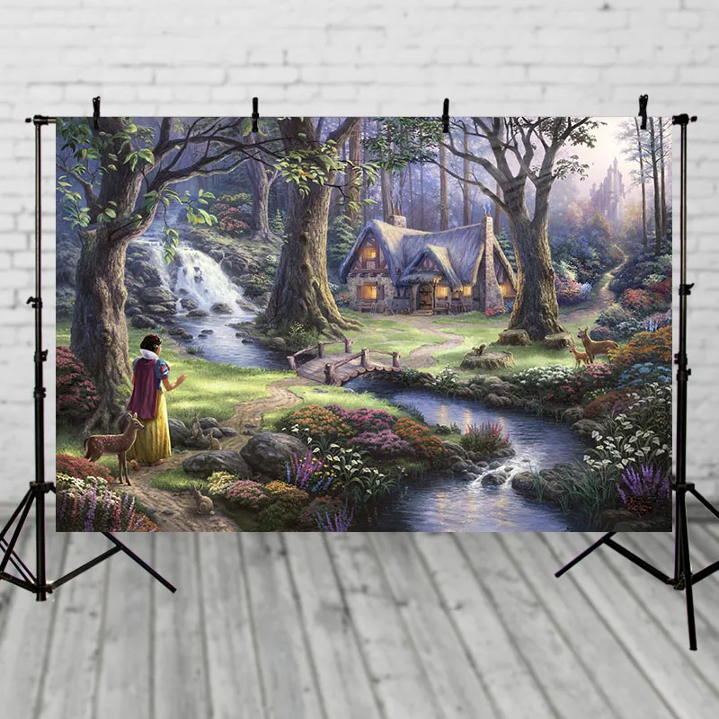 

Photography studio Vinyl Photography Backdrops Fairy Tale Princesses Snow White Birthday Party Personalized Photo Background