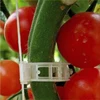 Clips de Support de plante en plastique A330, pour suspendre des tomates, treillis, ornements de jardin, ficelle, pinces de greffage de légumes de serre ► Photo 3/6