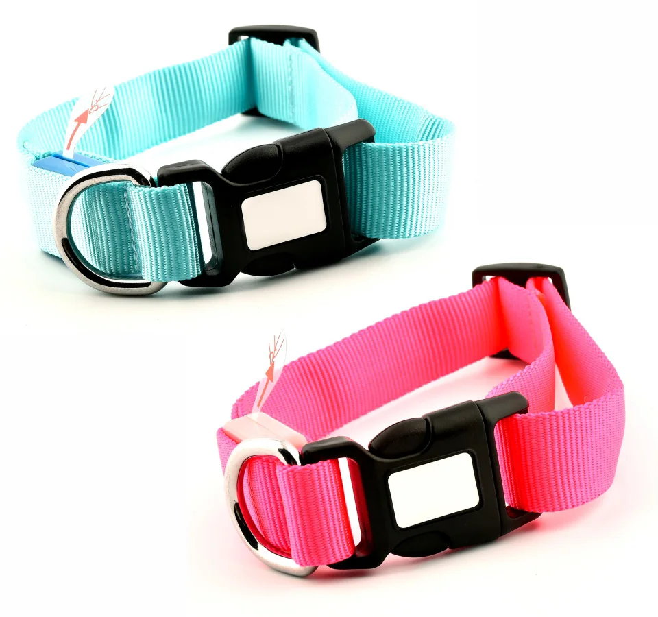 2nd Dog Collar PET2100