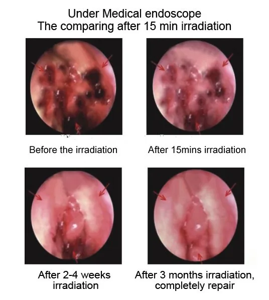 UT8z8rtX80XXXagOFbX5