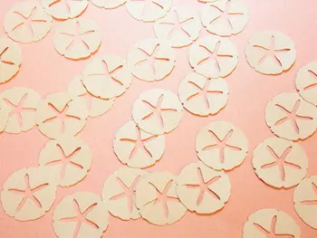 

Sand Dollar Confetti, Table Scatter, Beach Wedding Decor, Ocean Beach Decorations, Bridal Shower Table decor scrapbook Confettis