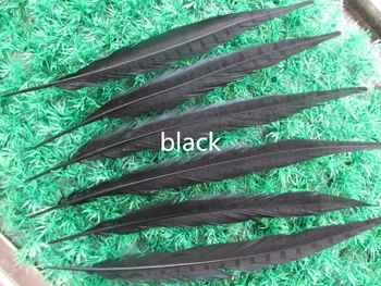 

Wholesale 100 pcs beautiful black Pheasant Feather 14-16 inches 35-40 cm free shipping