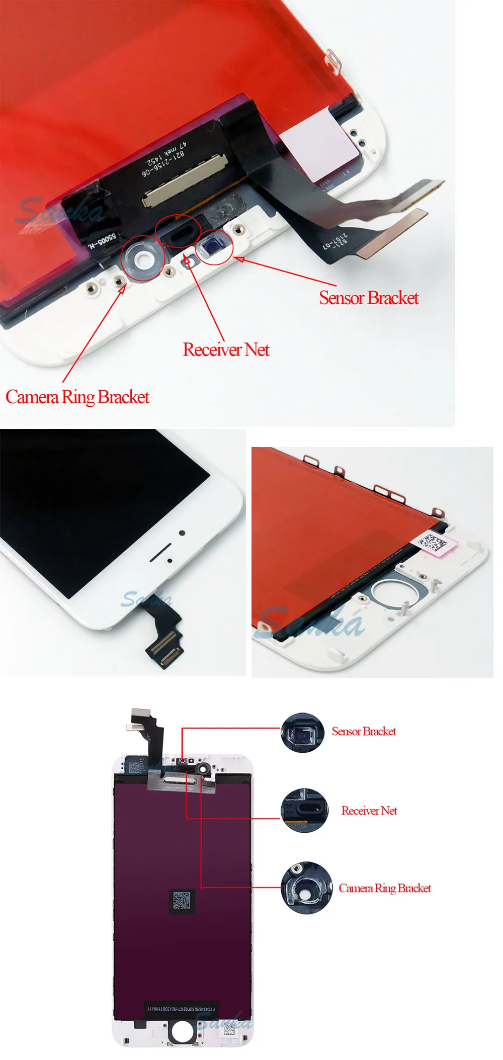6plus 