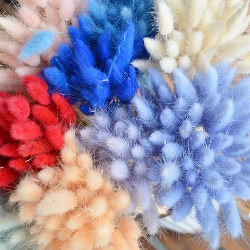 

60Pcs Rabbit Tail Grass Natural Dried Flowers For Home Decoration Flower Arrangement Lagurus Ovatus Real Flower Grass Props