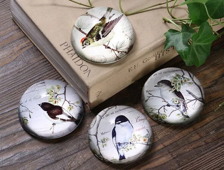 2067264222_1098549934