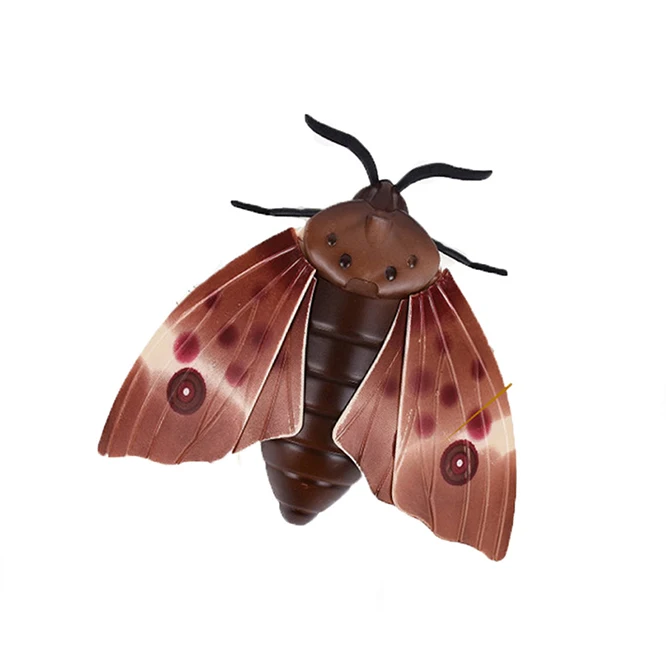 rc fly  (6)
