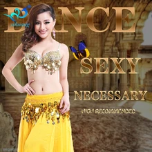 Belly Dancer Costume Suit Indian Dance Performance Hollaween Outfits Chiffon 2pcs Bra Skirt Set Free Shipping