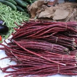 Spring Red Stentless Cowpea Sub 10 bonsai Nutrition Vegetable bonsai