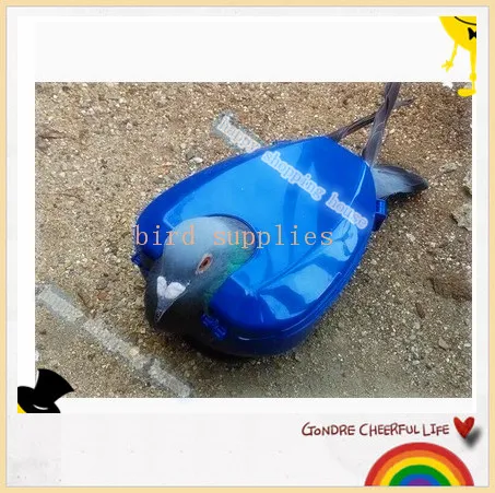 A02 Hewan Peliharaan Burung Merpati Balap Untuk Dove Produk