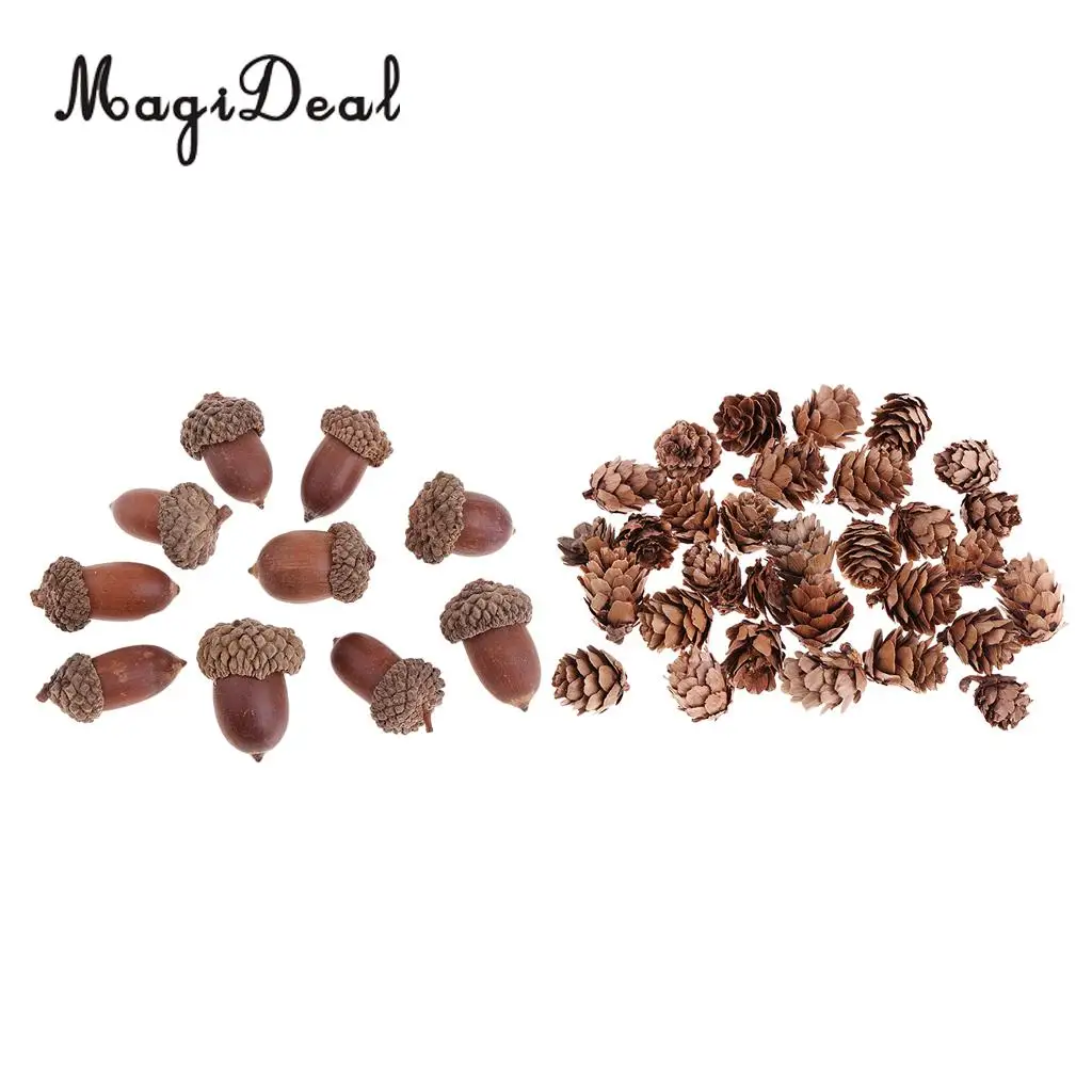 40Pcs Small Natural Pine Cones Acorns In Bulk Dried Flowers Table Ornament for Home Christmas Decoration DIY Craft