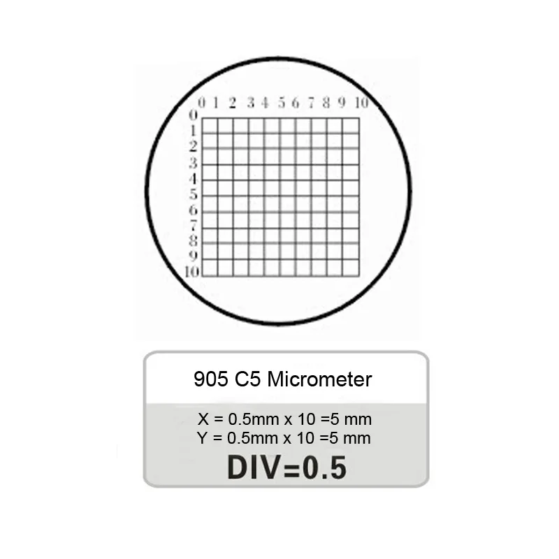 c5 (2)