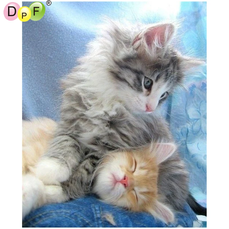 Кошка моя самая любимая. Люблю котика. Люблю тебя моя кошечка. Люблю своего котика. Два котенка.