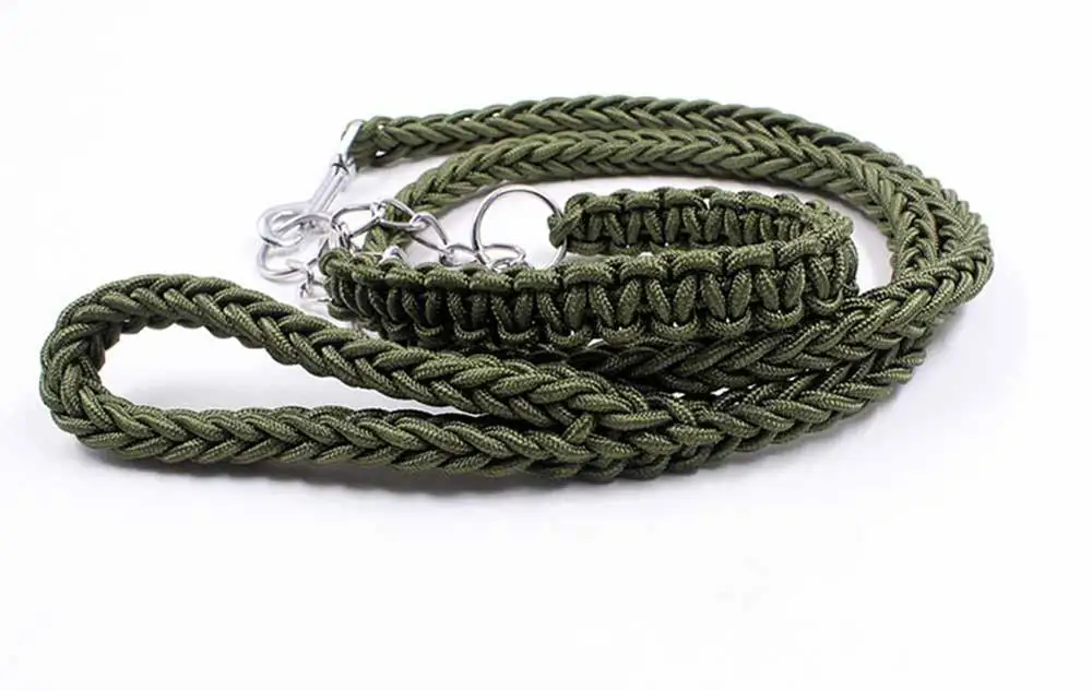 5 Collars, Harnesses & Leads