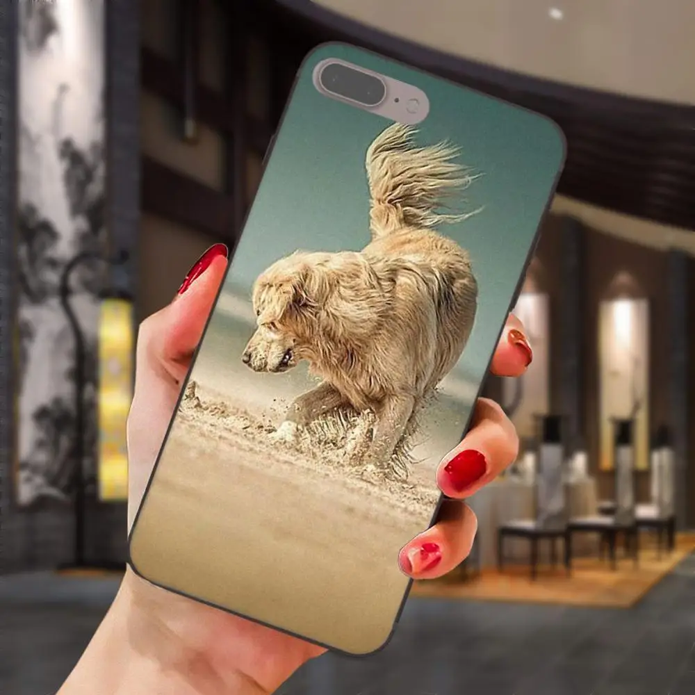 Золотой ретривер собака для Xiaomi Mi Mix Max Note 2 2S 3 5X6 6X8 9 SE A1 A2 Lite Play Pro F1 мягкий милый