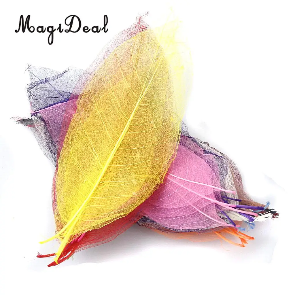 MagiDeal 50Pcs Natural Magnolia Skeleton Leaf Leaves Card Scrapbook - Mixed Color Decorate Cards Candles Packages