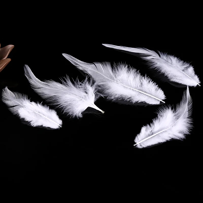 Перо 2д. Вижу перо. Два перышка. Перо на белом фоне. К чему снится черное перо.