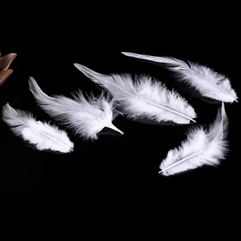 

2018 New! White Feather 50 Pc Quality Pheasant Feather, 5-6 "/ 12-15cm DIY Decoration Accessories, Weddings, Family