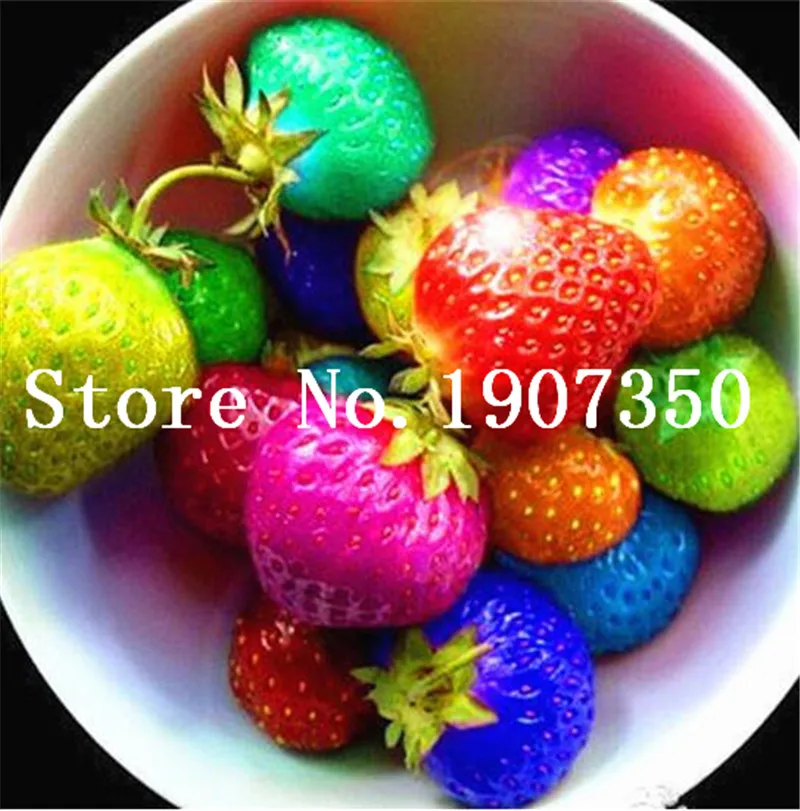 

Delicious Multi-color Strawberry Bonsai 200 Pcs Black Blue White Strawberry Fruit Tree Potted Plants Home Garden True Variety