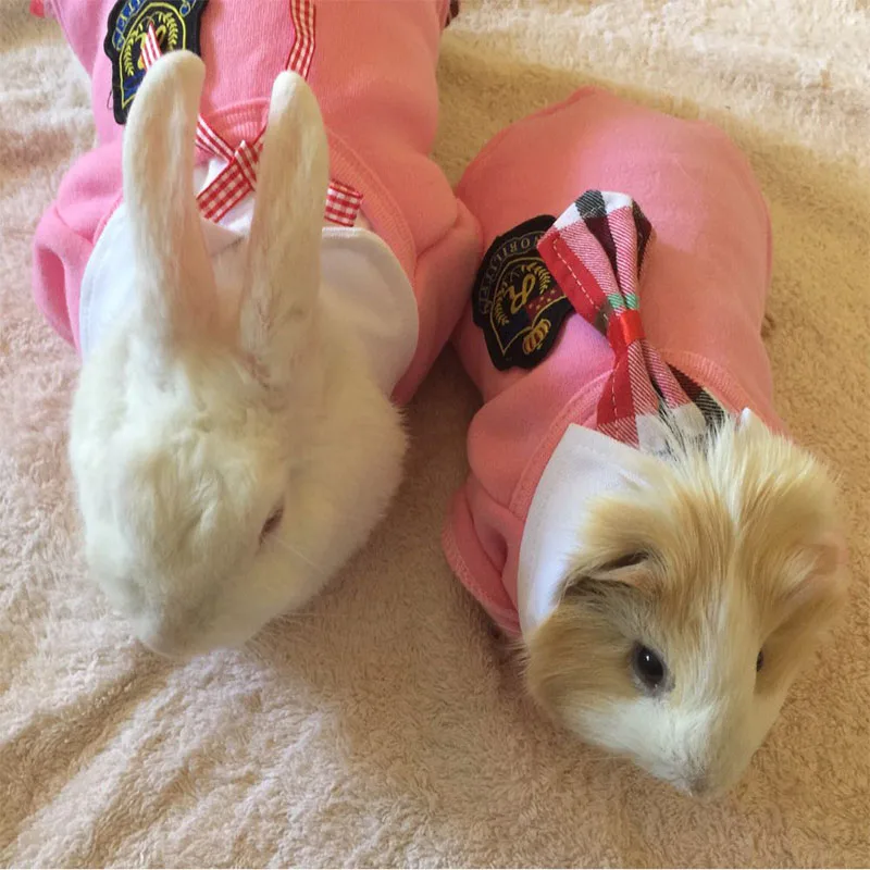 Fashion Pet Hamster Rabbit Clothes Cute School Style Clothes For Ferret