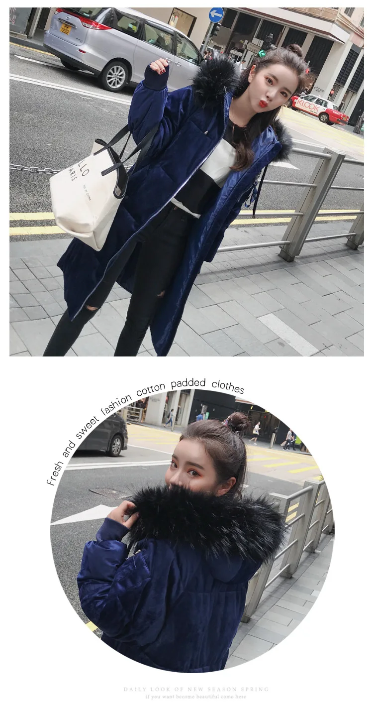 8813Mina _15.jpg