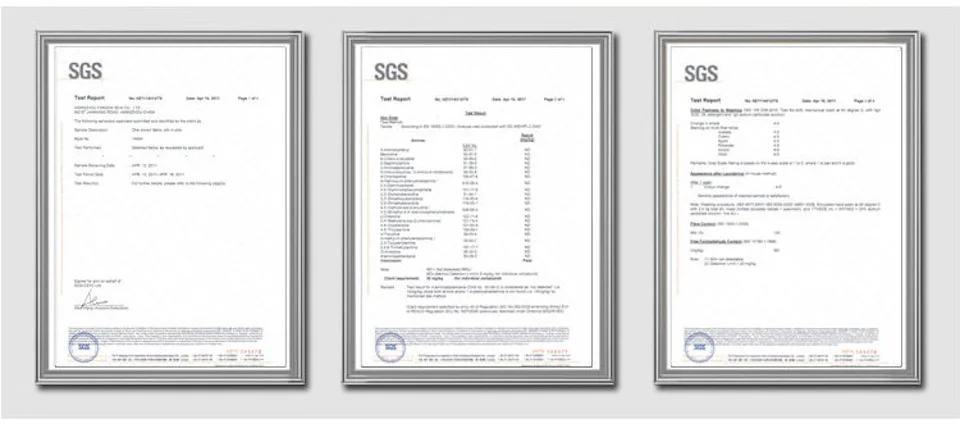 SGS