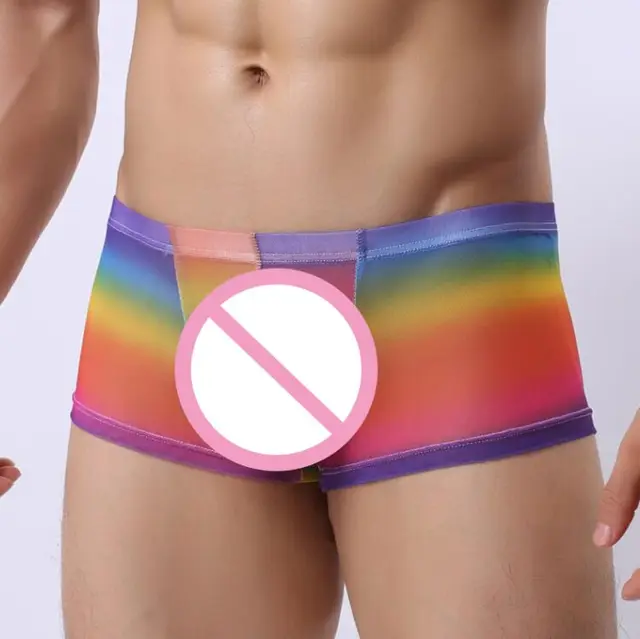New Mens sexy underwear Mens fashion Rose &rainbow print gauze breathable Low-waisted U convex Boxers shorts Male underpants -