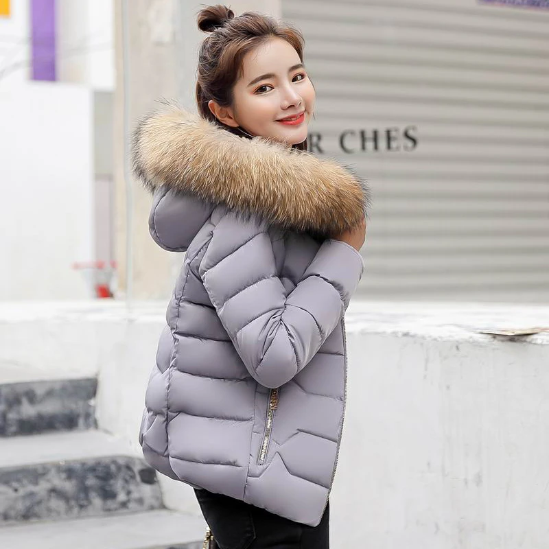 Hiver Col À Femelle Capuchon Grande Fourrure 2018 Manteau De Femmes qF7xPIw
