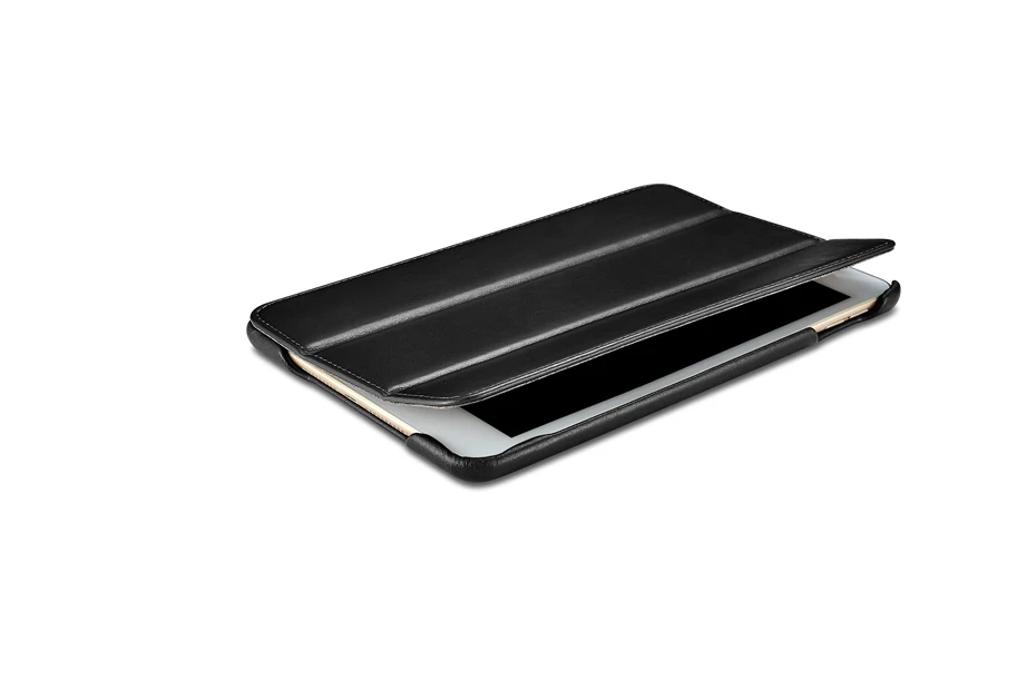 iPad mini 5  Vintage Series(2019)-014