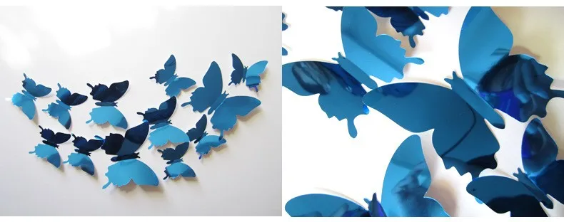 3057987272_1817757375