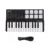 Высокое качество Worlde Panda Mini 25-Key USB Клавиатура и барабанная панель MIDI Контроллер Портативный
