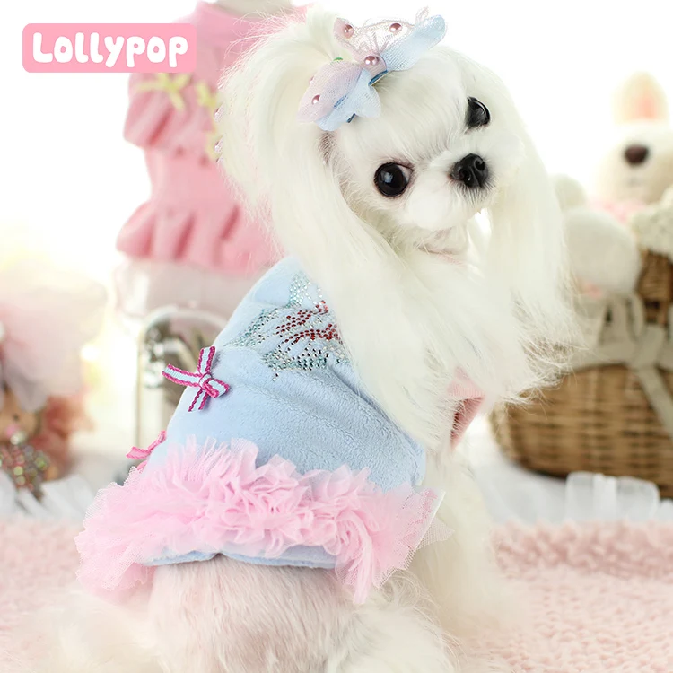 miniature yorkie clothes