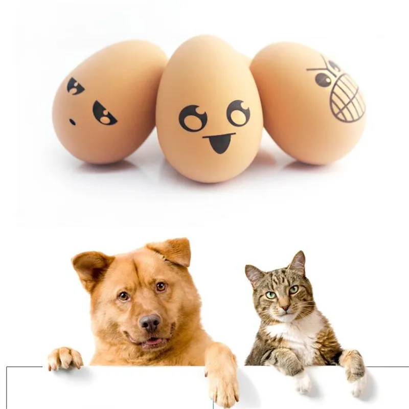 5PCS Pet toys eggs jun rubber solid elastic ball Funny eggs ball molar
