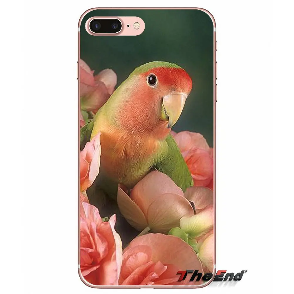 For iPhone X 4 4S 5 5S 5C SE 6 6S 7 8 Plus Samsung Galaxy J1 J3 J5 J7 A3 A5 Rainbow flower Bird Ringneck Parrot Case