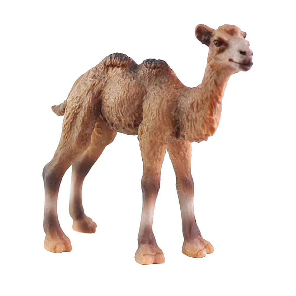 

1pc Camel Figurine Kids Toy Model Simulation Wild Animal Realistic Desktop Ornaments Collection Decoration Craft Gift