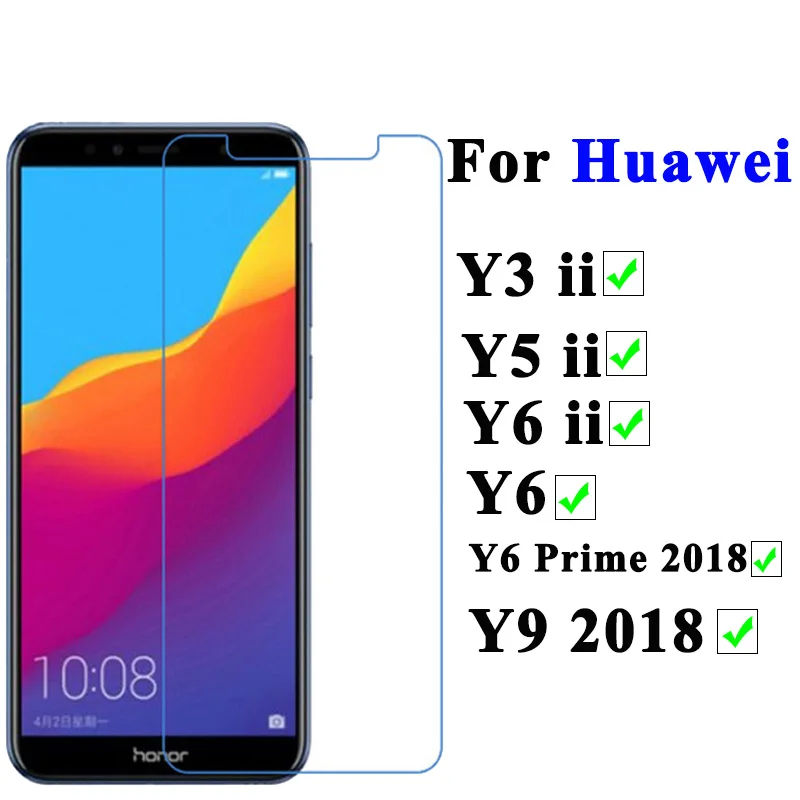 y6 f1