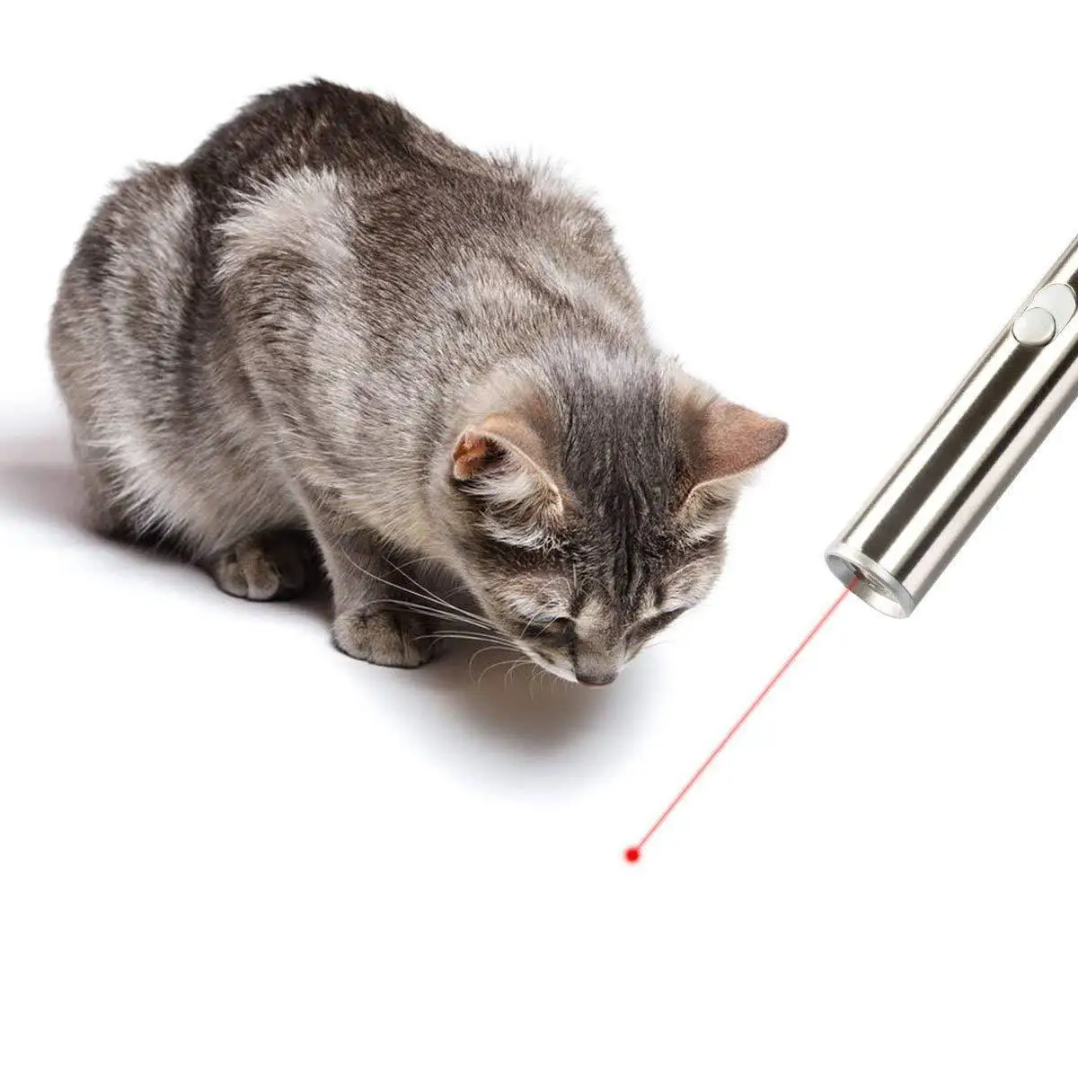 Funny Pet Cat Laser Pen Stainless Steel Cat Laser Toy Without Battery