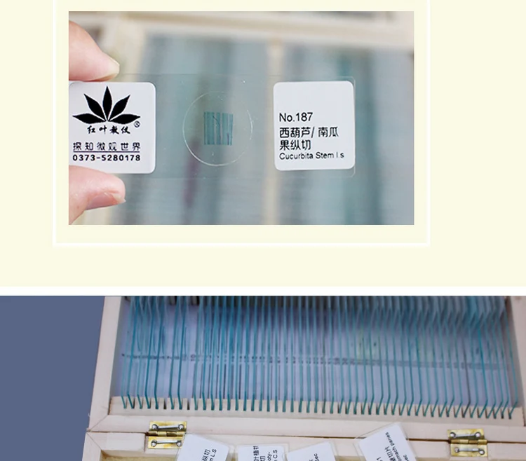 cells Microscope slides (9)
