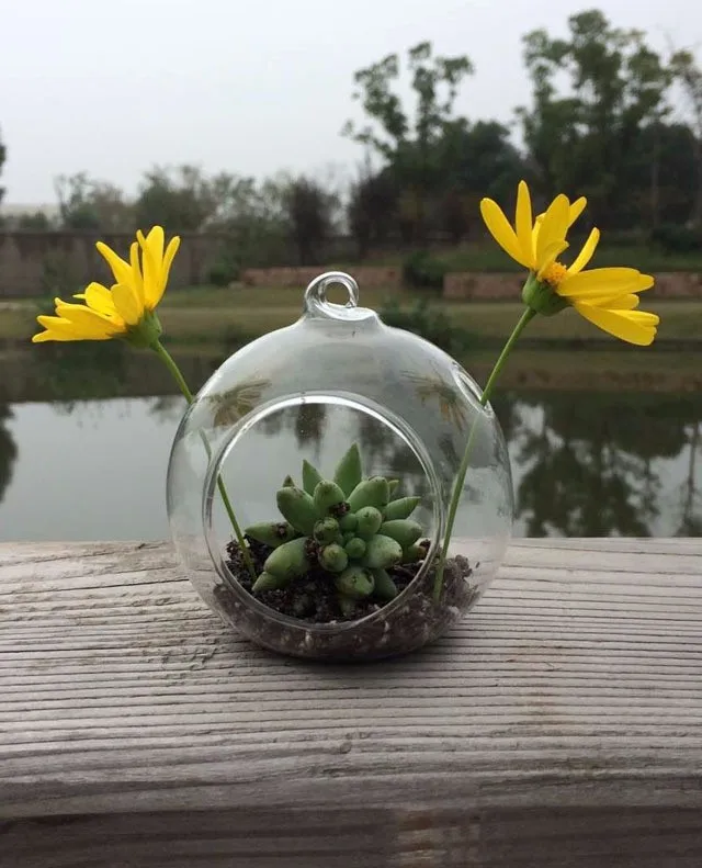 12pcs-wholesale-hanging-glass-globe-candle-holders-8-10-cm-round-planter-vase-wedding-supplies-Flat (1)