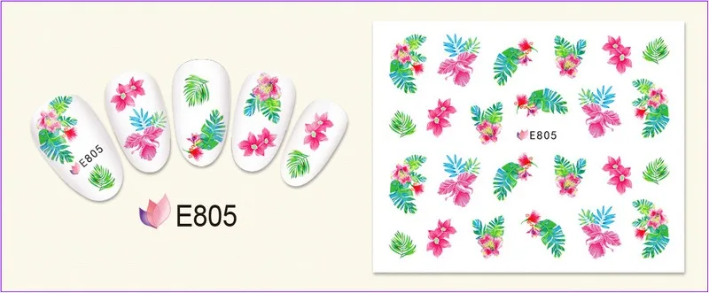 E805