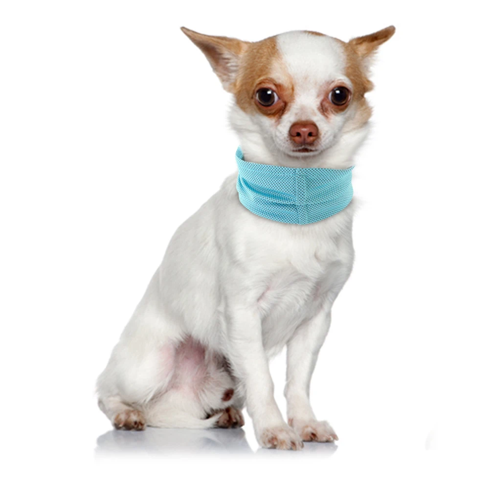 Title 11, Summer Dog Pet Cooling Bandana Collar Sunstroke...