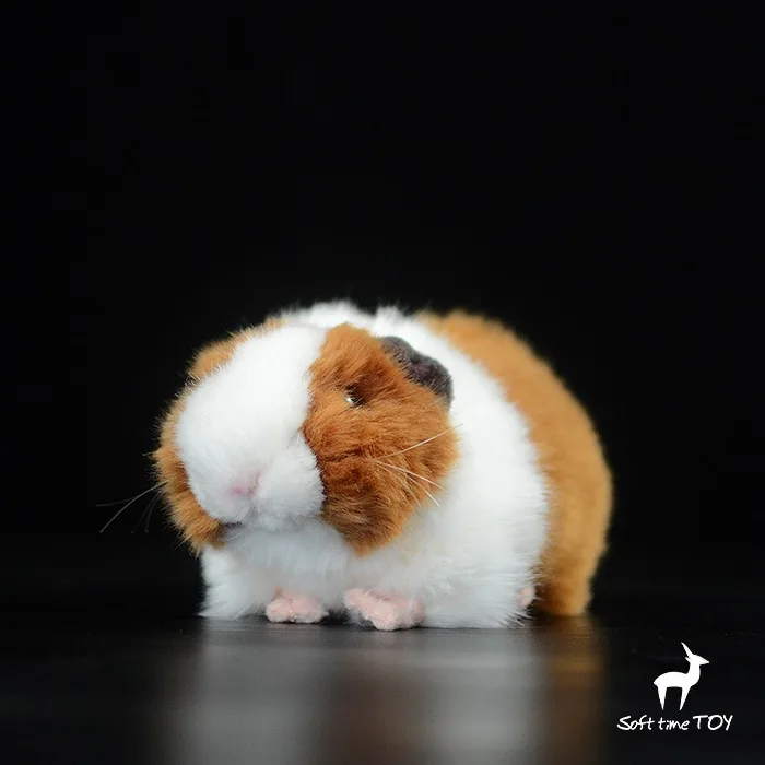stuffed guinea pig toy