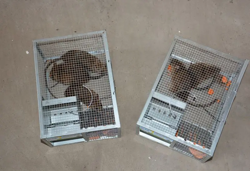 TB2cHzVkkyWBuNjy0FpXXassXXa_!!0-rate