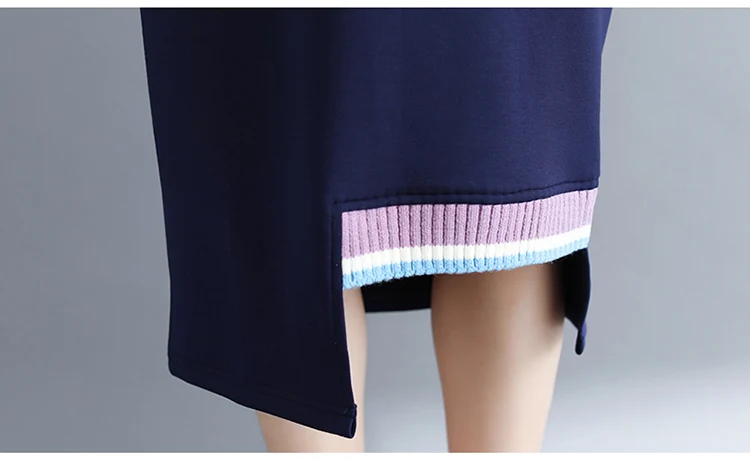 Women Autumn  Two Piece Tops and Skirts 2018 New  Fashion Casual Sweater Clothes For Female Plus Size Suits CH795 (2)